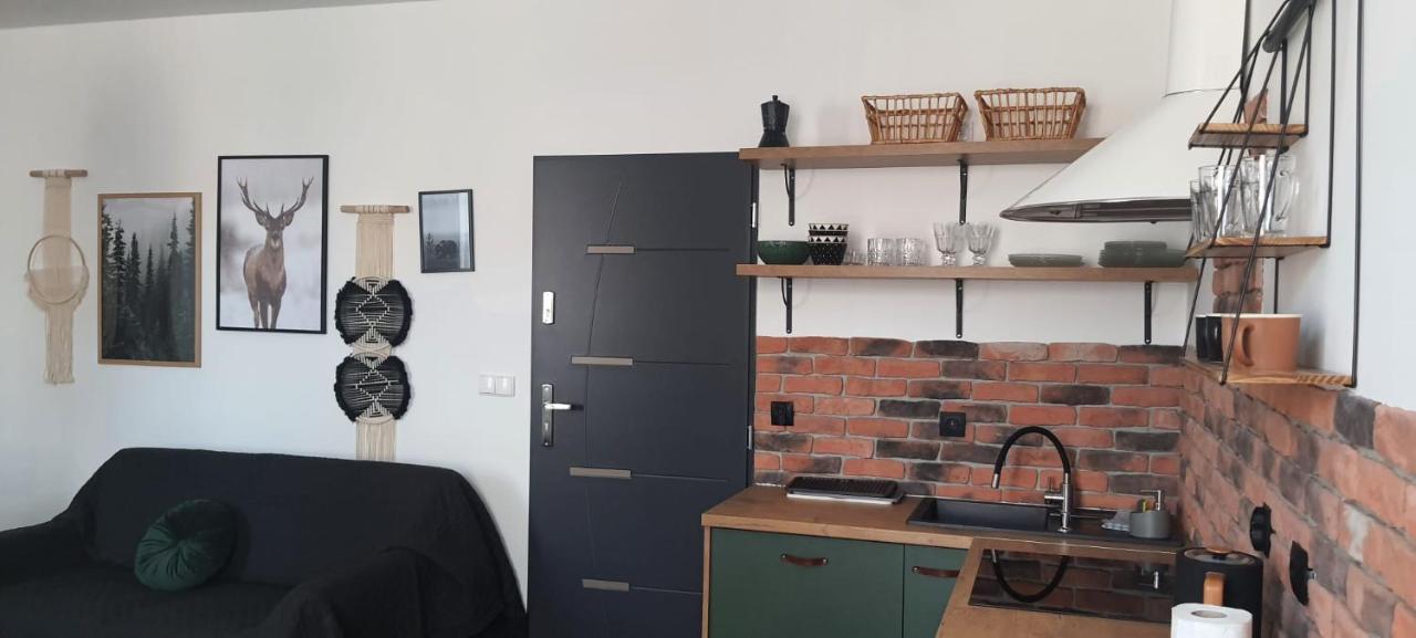 Apartamenty Deptak - W Centrum Karpacza, Parking W Cenie! 外观 照片